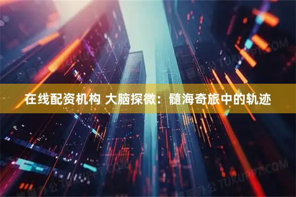 在线配资机构 大脑探微：髓海奇旅中的轨迹