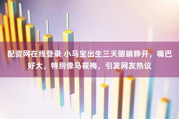 配资网在线登录 小马宝出生三天眼睛睁开,嘴巴好大,特别像马筱梅,引发网友热议