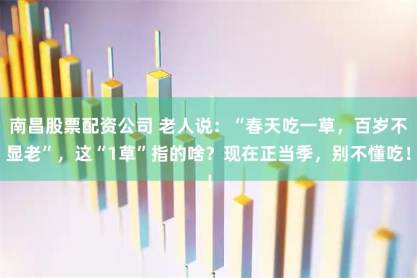 南昌股票配资公司 老人说:“春天吃一草,百岁不显老”,这“1草”指的啥?现在正当季,别不懂吃!